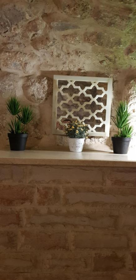 Citadel Youth Hostel Jerusalem Ngoại thất bức ảnh